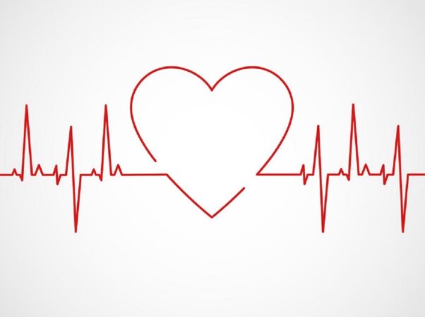نوار قلب یا الکتروکاردیوگرام